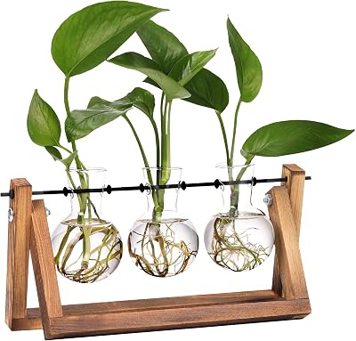 XXXFLOWER Plant Terrarium Wooden Stand Propagation Station 3 Bulb Vase