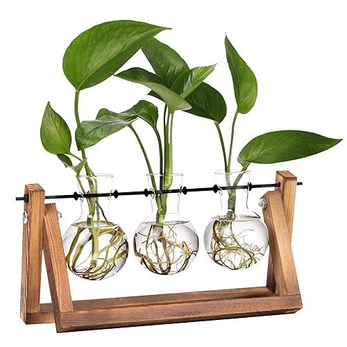 XXXFLOWER Plant Terrarium Wooden Stand Propagation Station Glass Bulb Vase, Desk Plants Holder Retro Style for Tabletop Hydroponics Home Wedding Garden Decor, 3 Bulb Vase - 3-Bulb Vase