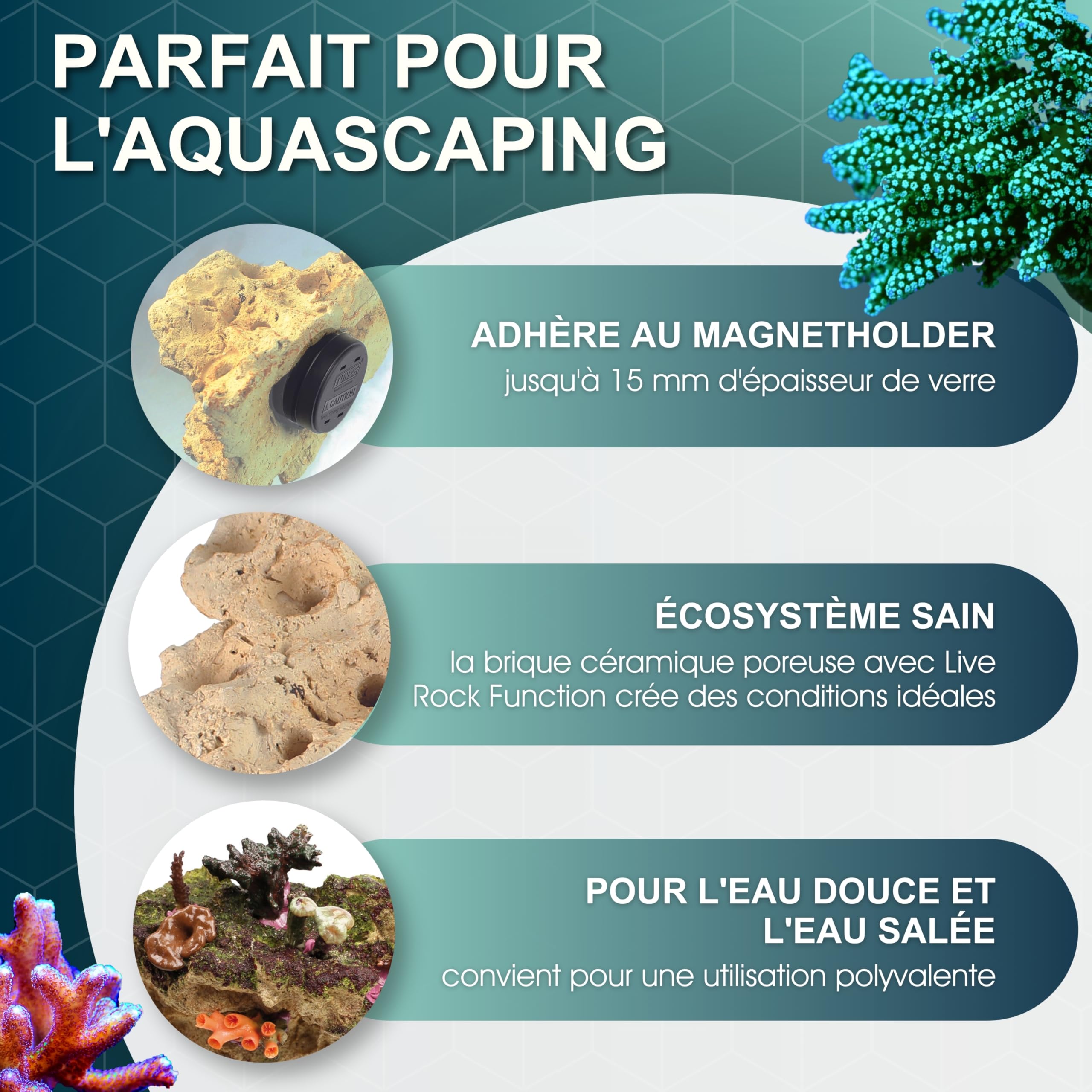 Tunze Coral Rack Nano Keramikstein Magnethalterung Aquarium-Deko Korallenaufzucht Süßwasser Meerwasser