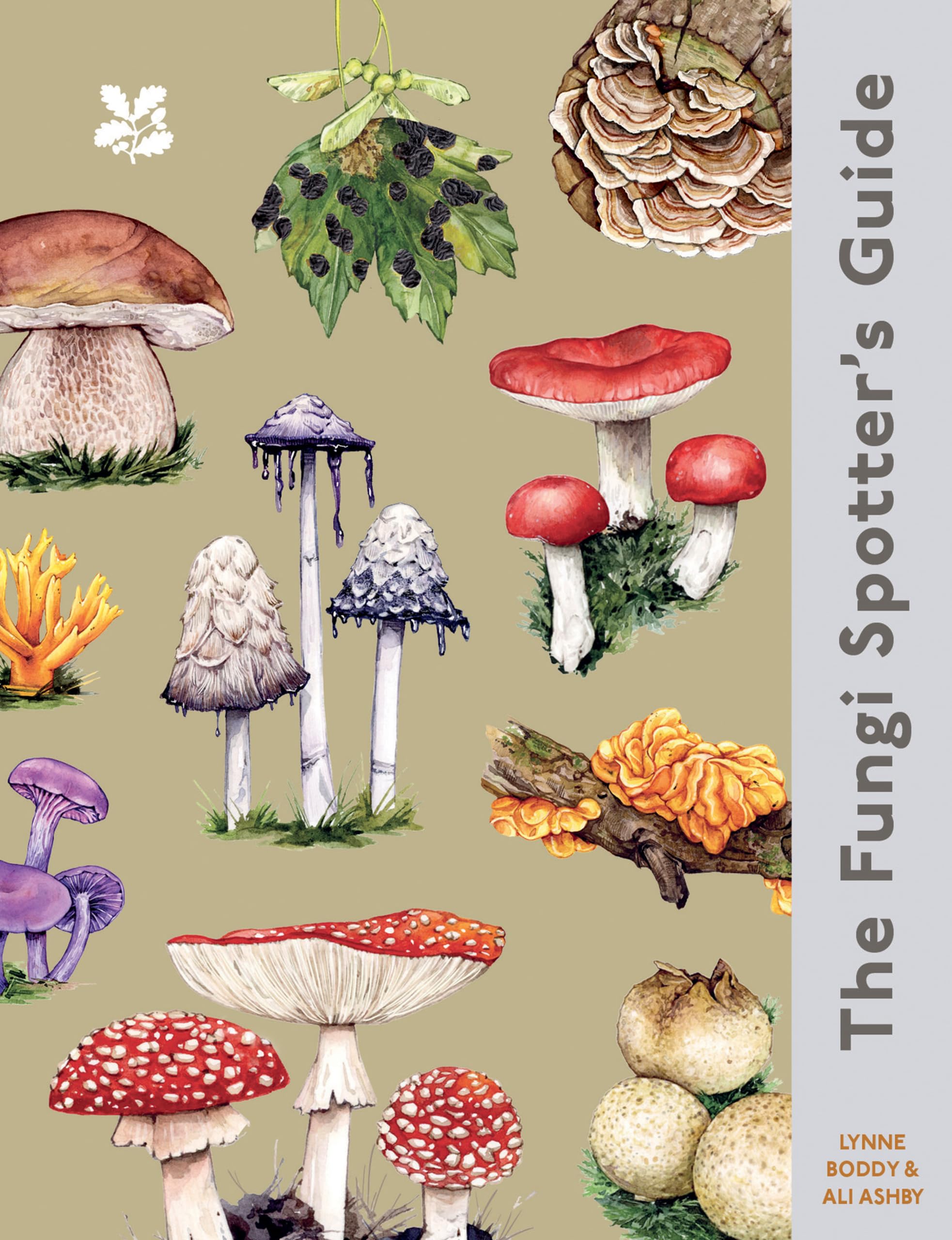 The Fungi Spotter's Guide (National Trust)