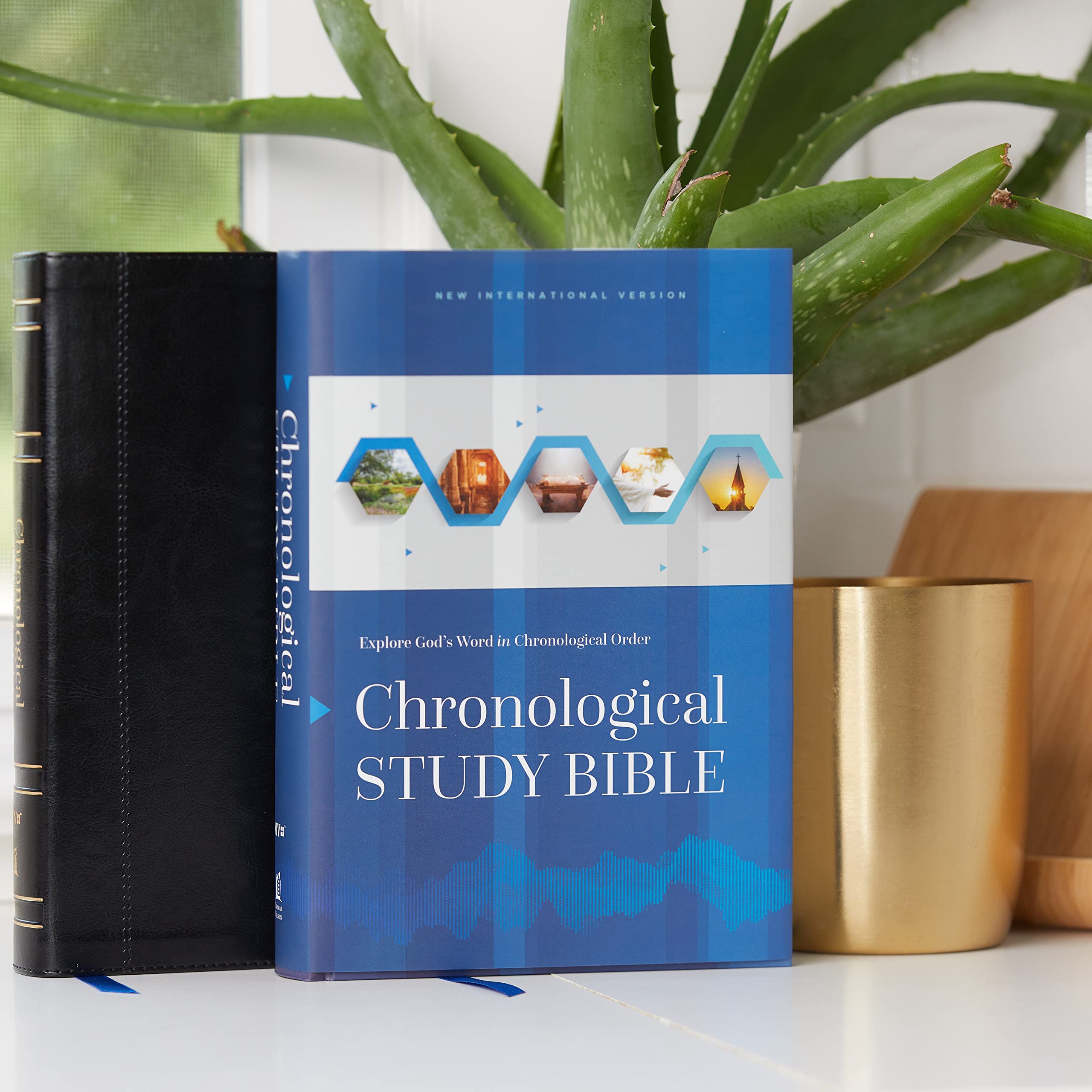 NIV, Chronological Study Bible, Hardcover, Comfort Print: Holy Bible, New International Version