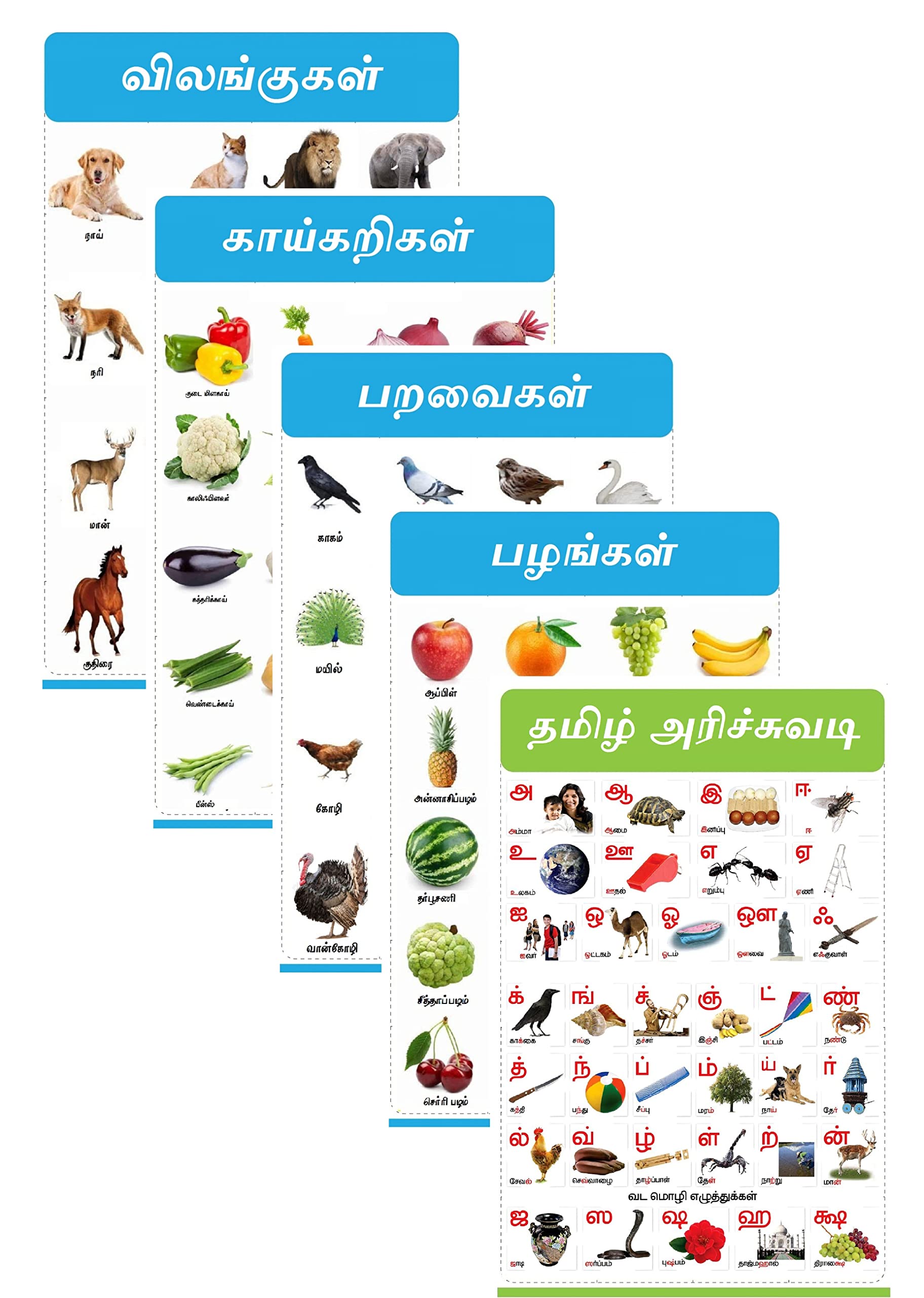 Tamil Chart for Kids 47x65 cm (19x26 Inch) Mega Size ( 5 Charts )- Laminated Early Learning Education Wall Picture Chart | alphabet, Fruits, Vegetables, Birds & Animals Wall Chart – 1 January 2021