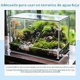 Ver la foto 8