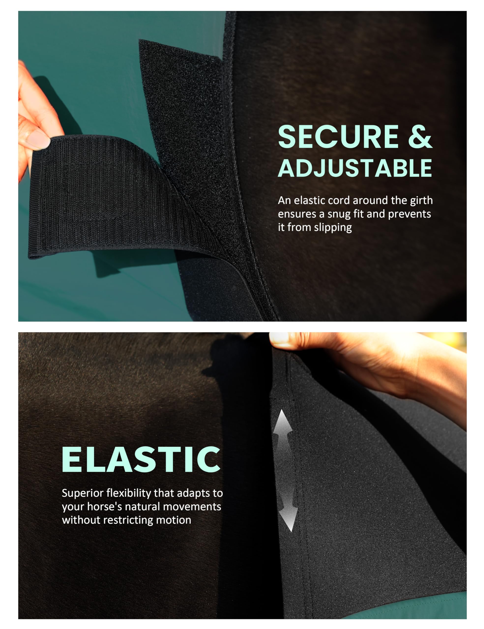 Brustschutz für Pferde, elastisch und Nylon, Dunkelgrün, Größe M