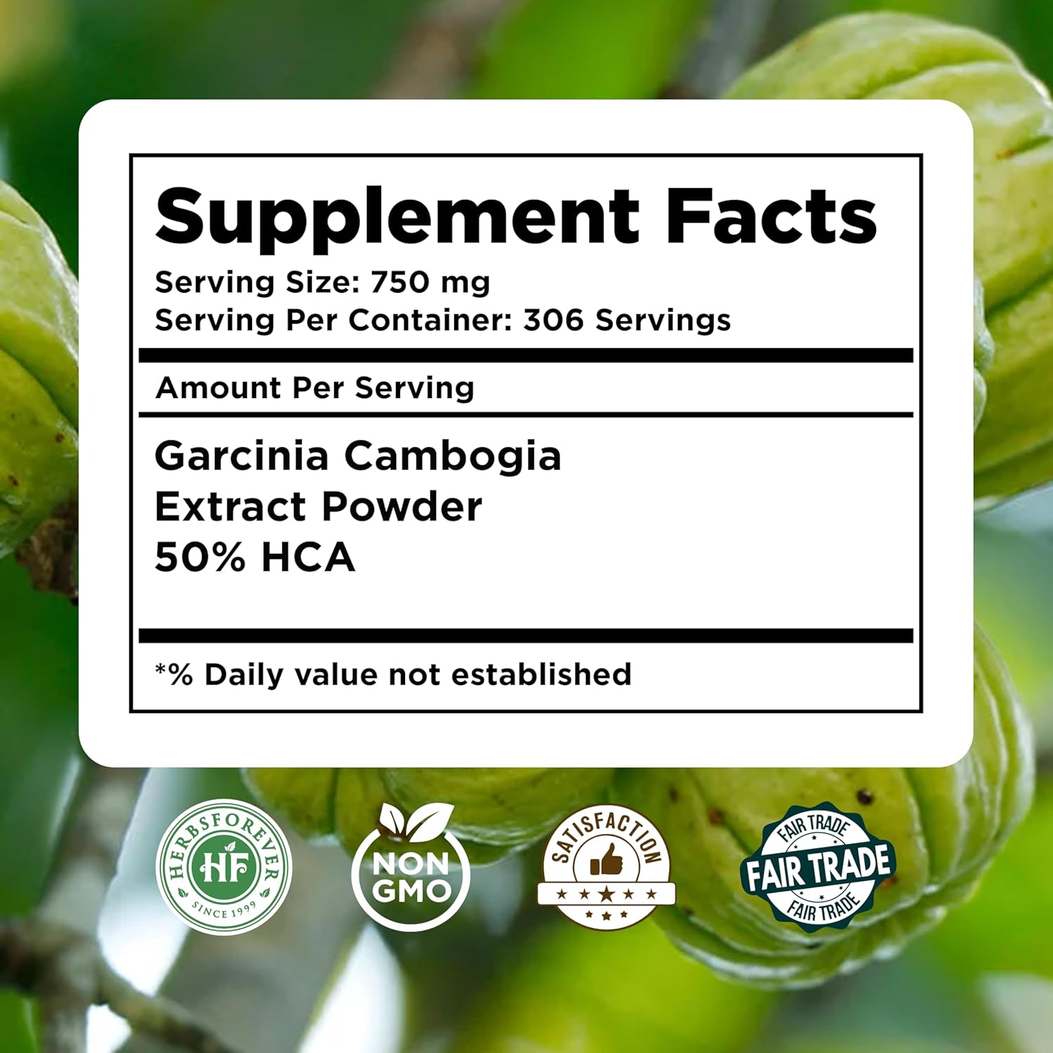 Herbsforever Garcinia Cambogia Powder Support Active & Energetic Body 230 GMS