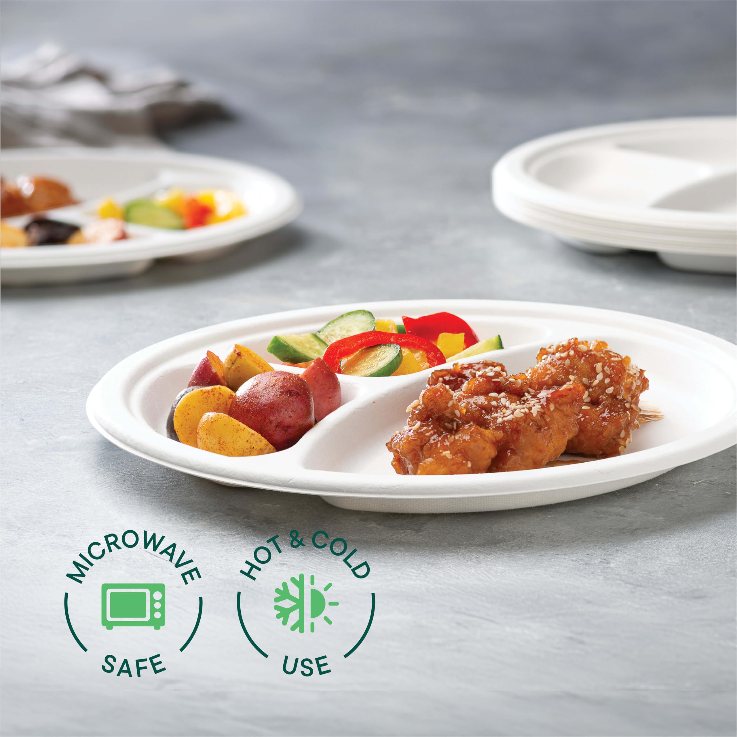 Compostable Paper Plates - 125 Pack, 10 Inch -3