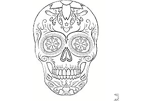 S 8x10 CANVAS ONLY - Pre Drawn Canvas Skull Paint Kit