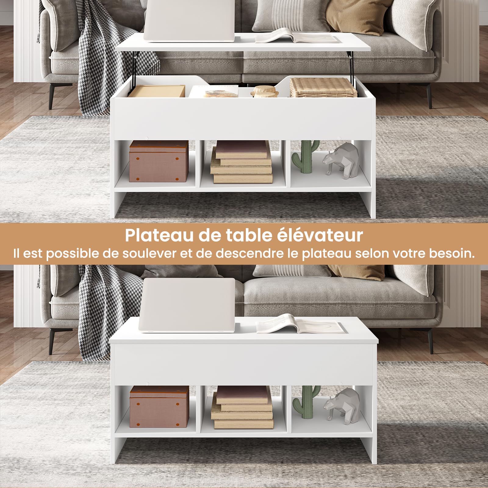 WOLTU Table Basse Relevable, Table Basse avec Rangement