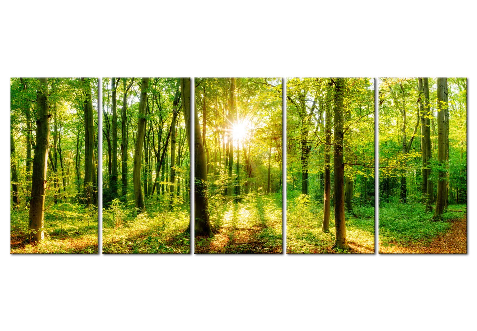 B&D XXL - Leinwandbild Landschaften Natur Baum, 200x80 cm, 5-teilig, modern | Hochwertige Leinwand, sofort aufhängbar, ideal fürs Wohn- oder Schlafzimmer, wasserfest und lichtecht, langlebig, stilvoll