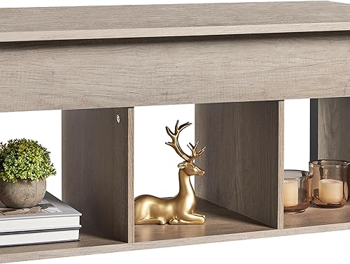 Miniatura 5 de Topeakmart Mesa de centro elevable con almacenamiento y estantes ocultos, mesa central desplegable para sala de estar, sala de recepción, color