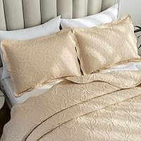 Vista 8 de Auemtyn Juego de edredón de tamaño Full/Queen de 3 piezas, colcha de verano suave y ligera, cobertor de cama de microfibra reversible para todas