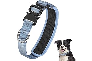 Reflective Dog Collar: Comfort and Durability for Your Large Breed Companion