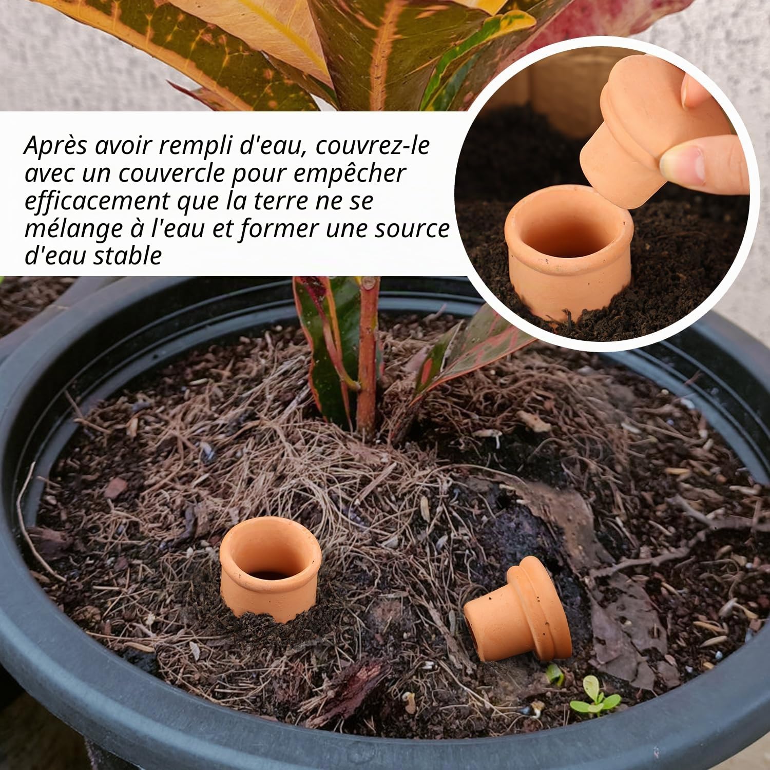 Ollas Lot de 3 Globes d'arrosage Automatique pour Plantes 25,4 x 8,9 x 8,9 cm 864,7 g avec Couvercle en Terre Cuite