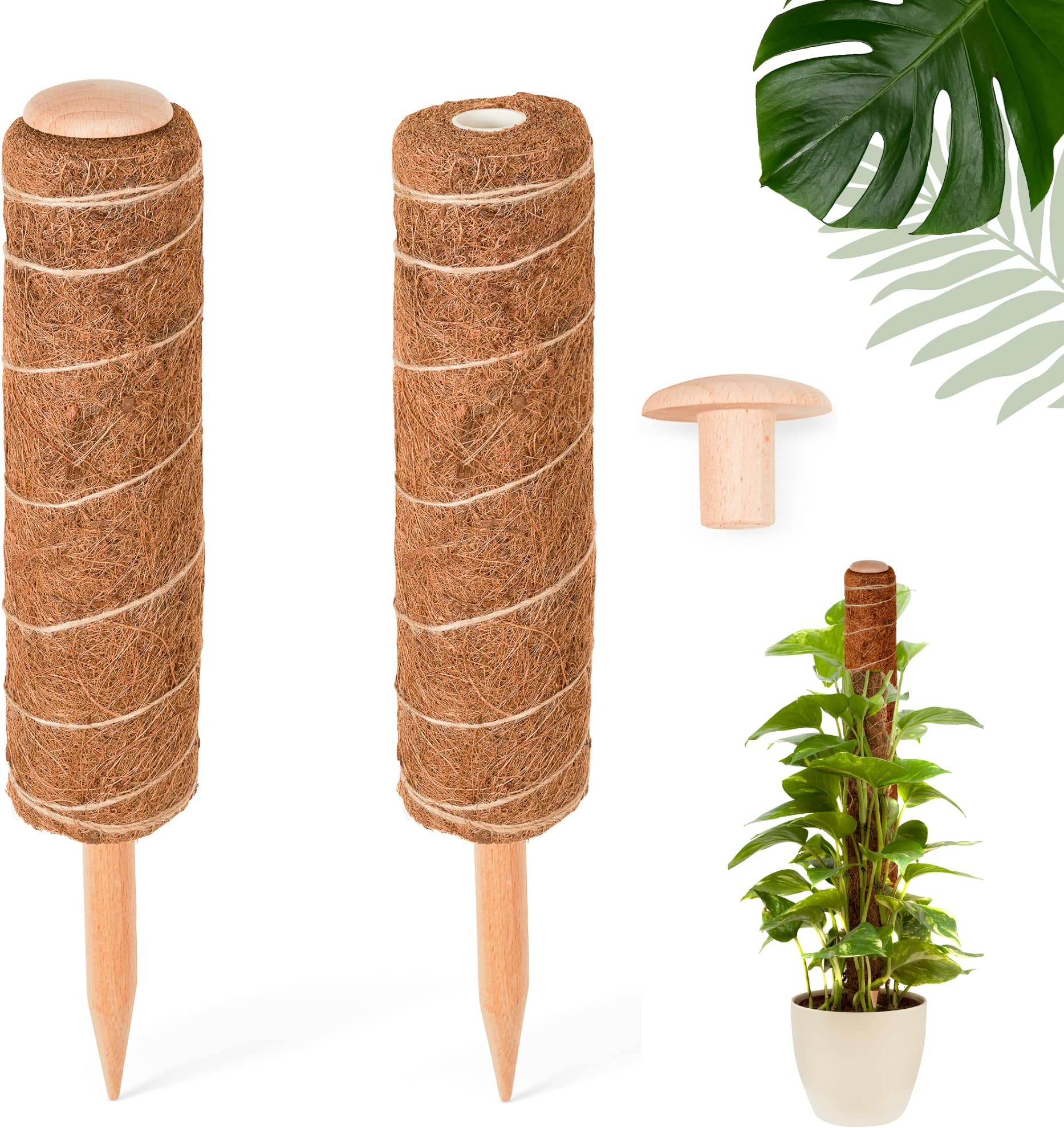 ALWORG Moss Pole For Monstera - Moss Pole For Cheese Plant Support - Coir Totem Pole Plant Support - Moss Poles For Plants Extra Thick, Large & More Stable Stackable Set Of 2 Poles