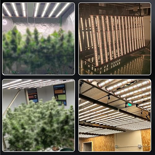 Miniatura 6 de Lámpara Phlizon modelo 2021 FD4000 con led para cultivo de plantas, de 5 x 5 pies, lámpara de cultivo con espectro completo, de 1728 LEDs, lámpara