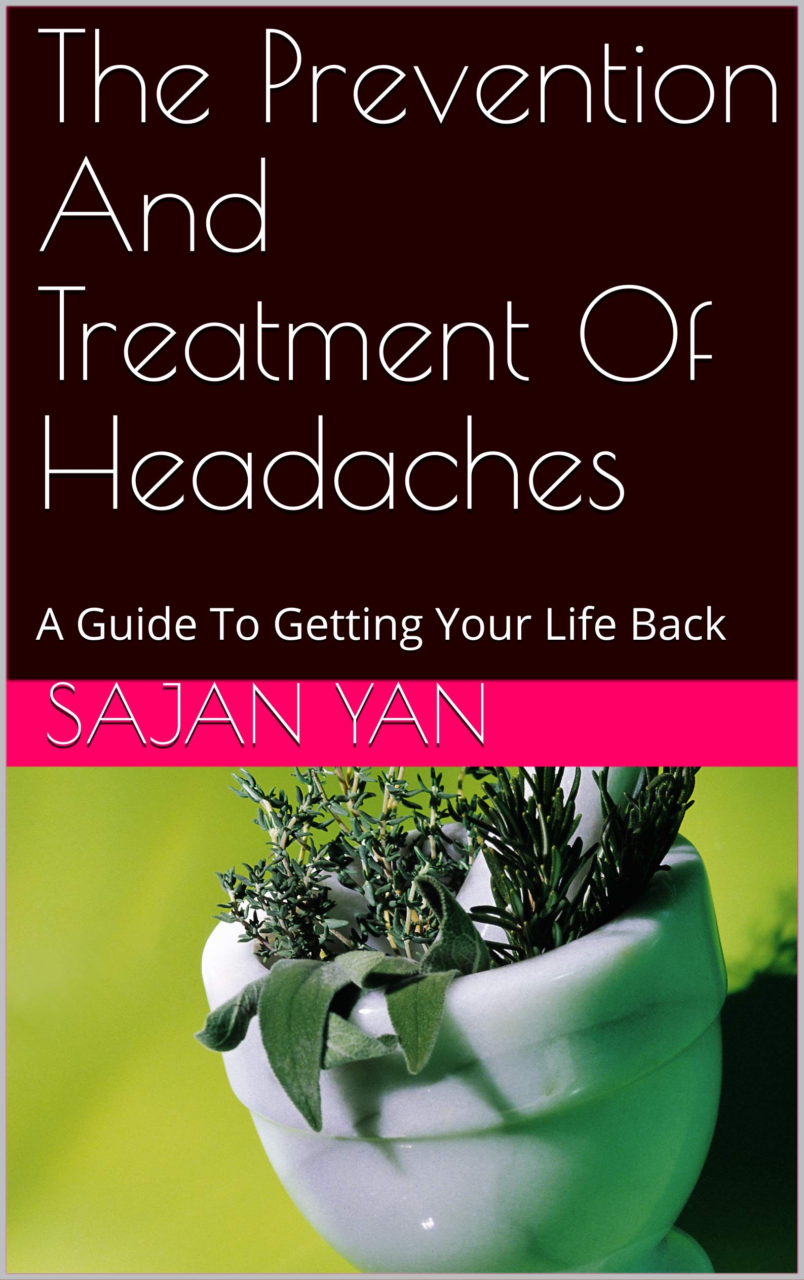 The Prevention And Treatment Of Headaches: A Guide To Getting Your Life Back