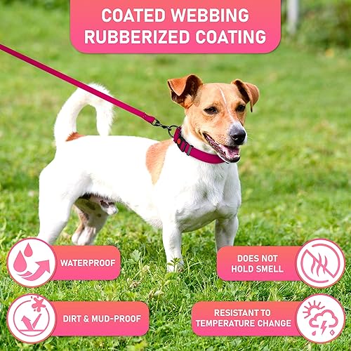 Miniatura 40 de Correa impermeable para perro de 6 pies, fabricada en Estados Unidos, correas resistentes para perros grandes, medianos y pequeños, entrenamiento