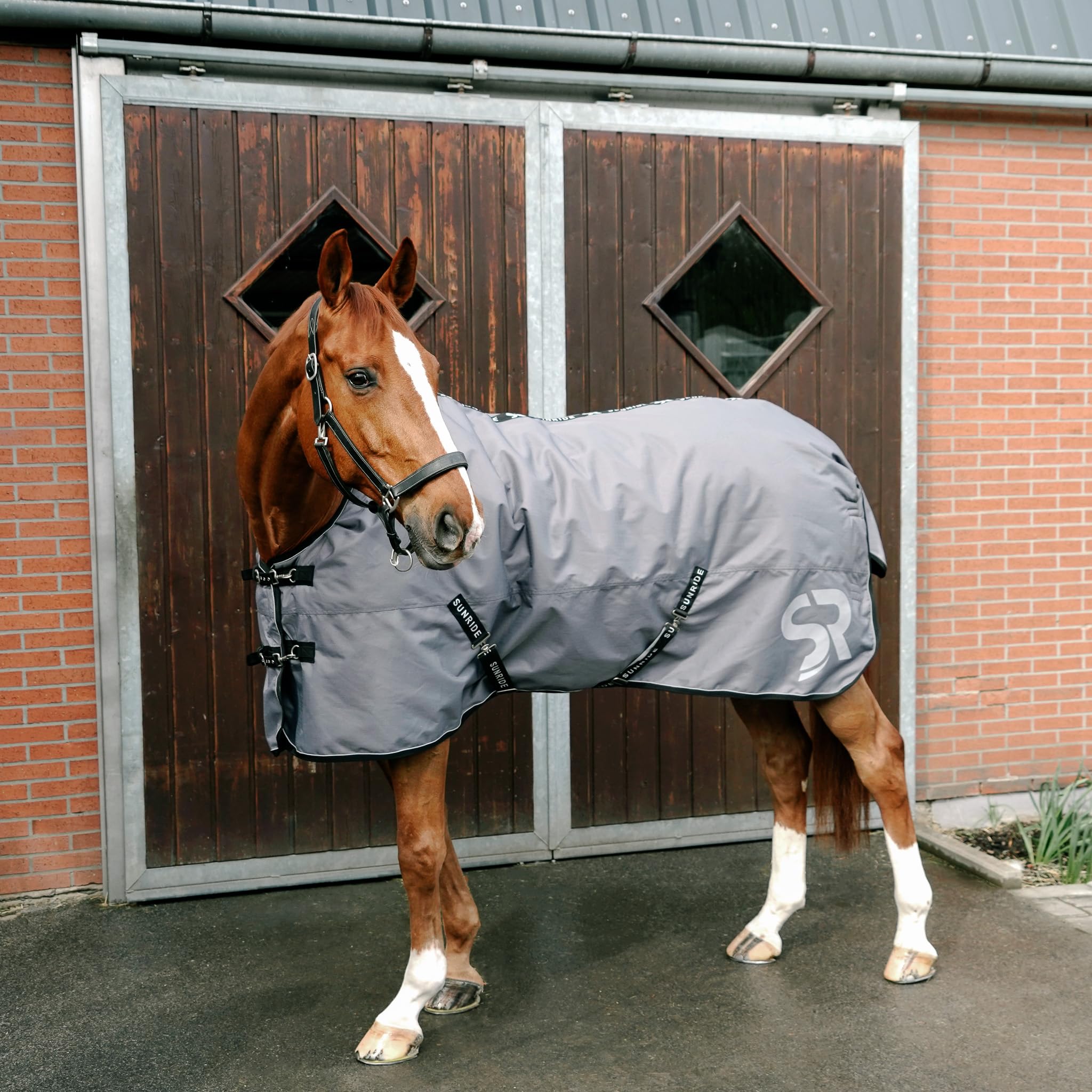 SUNRIDE Manta Invierno Caballo 450g (Alaska) – 1200D Impermeable – 3000 mm – Transpirable – Compatible con Liner – Cuello Desmontable – Reflectante (140 cm, Gris)