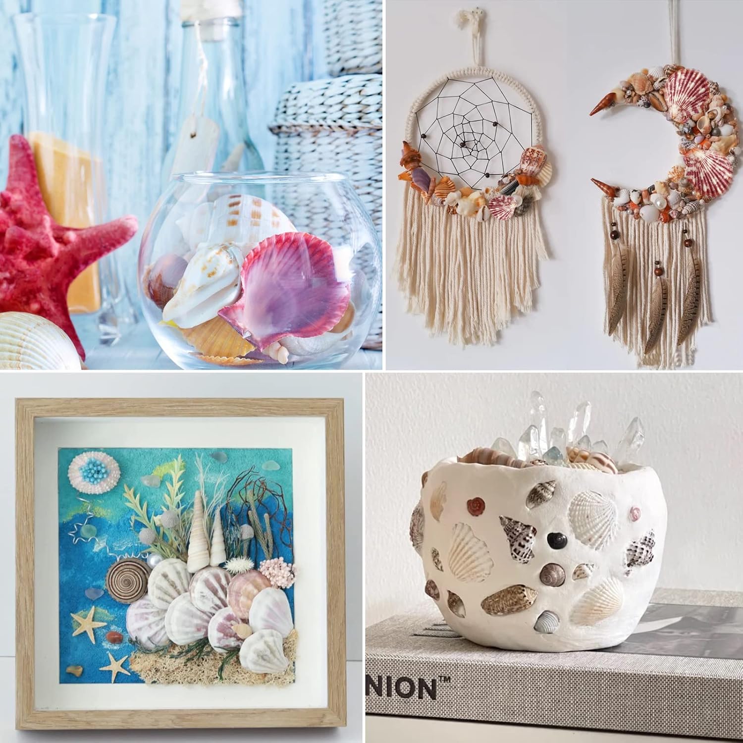 Scallop Shell Natural Seashell from Sea Beach for DIY Crafts Decor for Wedding Decor Beach Theme Party, Home Decorations, Fish Tank 1 Box (50 pcs)… - Image 3