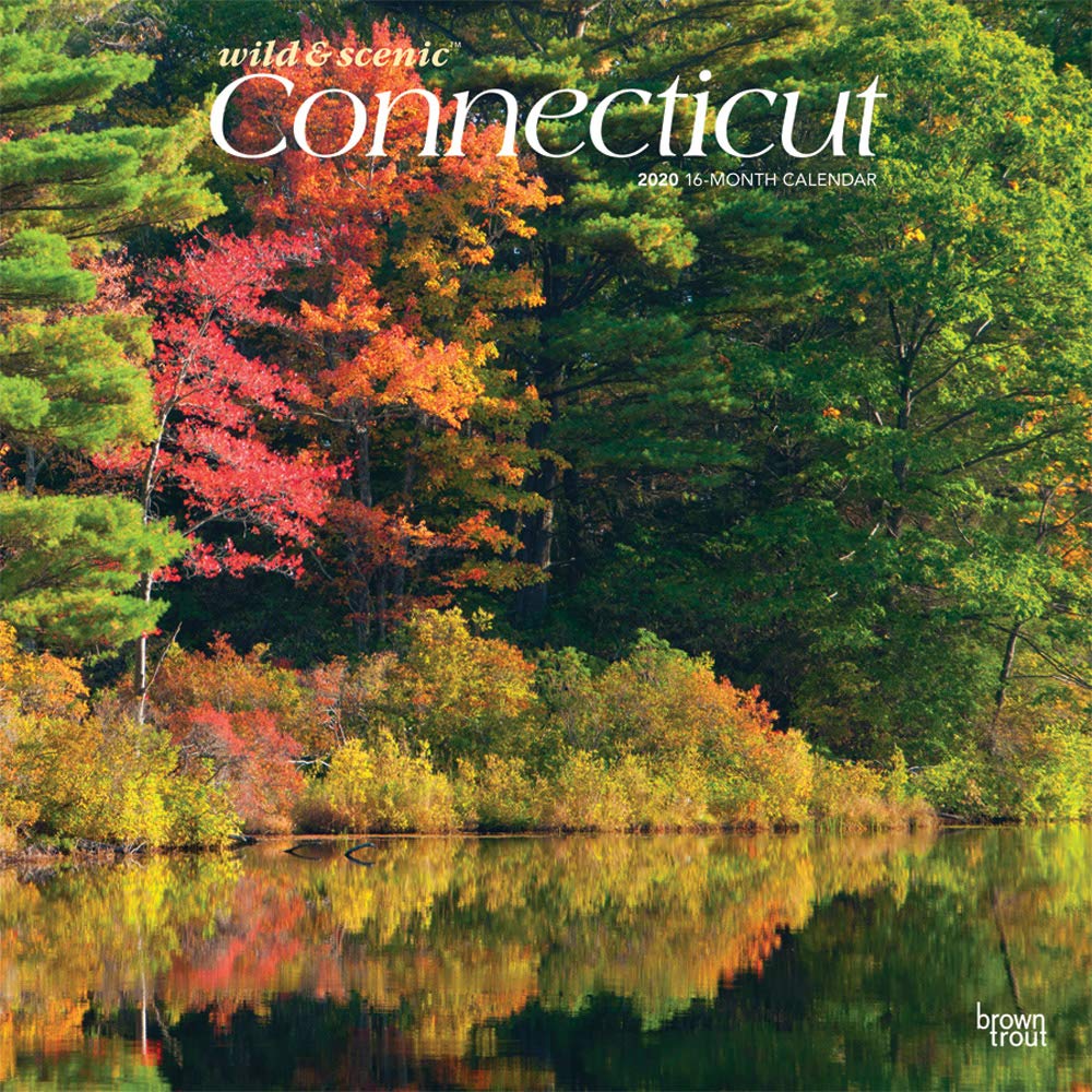 Connecticut Wild & Scenic 2020 12 x 12 Inch Monthly Square Wall Calendar, USA United States of America Northeast State Nature (English, French and Spanish Edition)