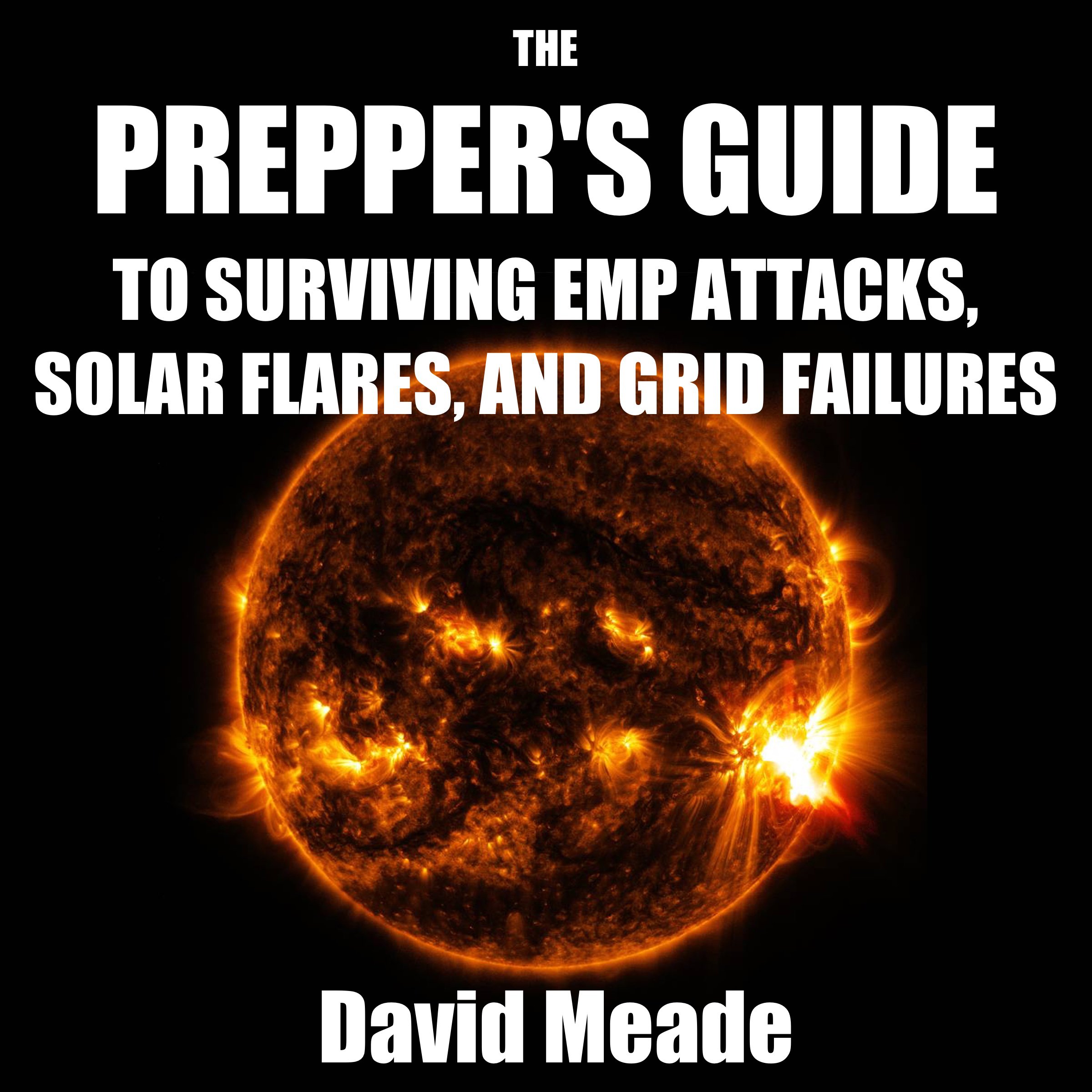 The Prepper's Guide to Surviving EMP Attacks, Solar Flares, and Grid Failures