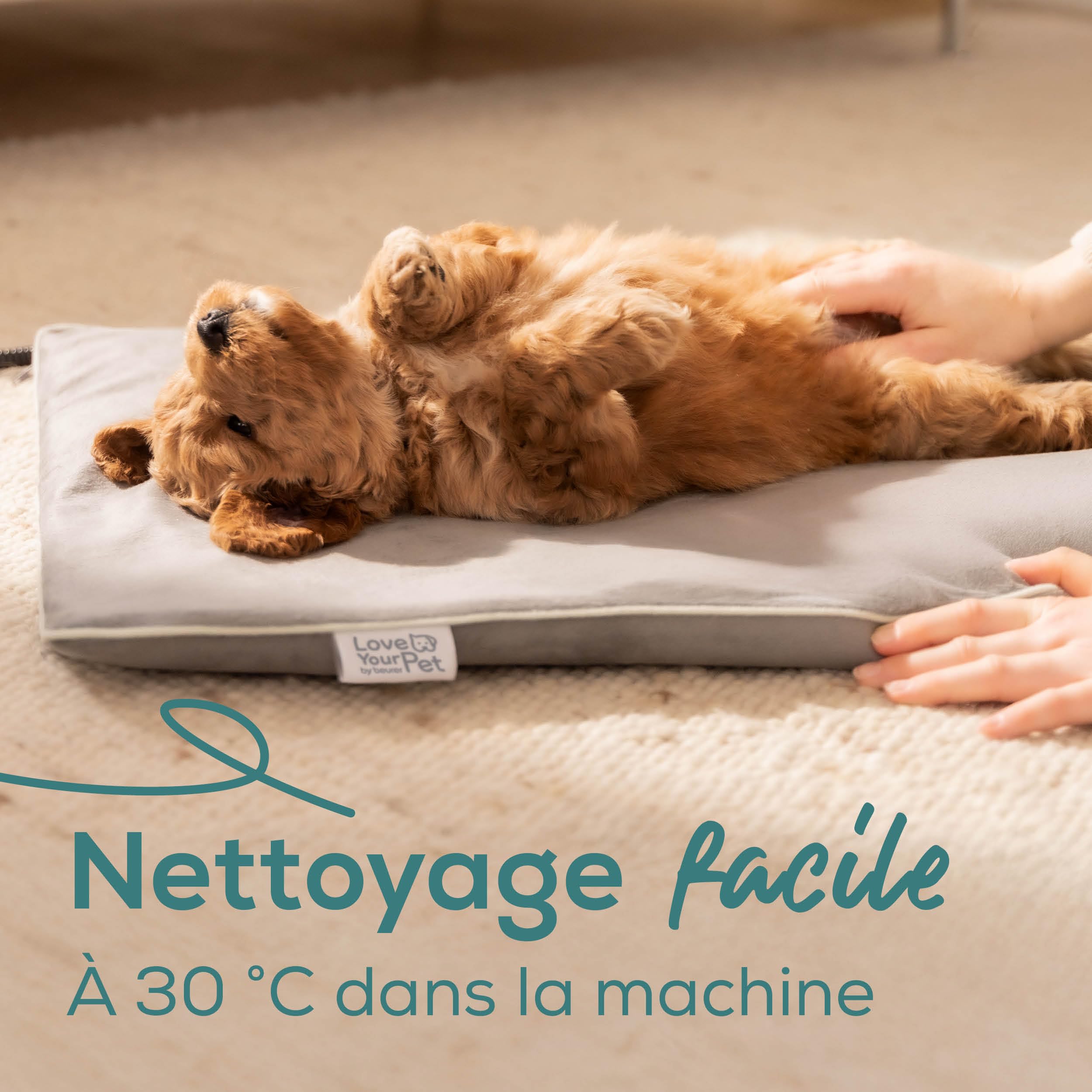Beurer Love Your Pet Tapis Chauffant S « Lilli » pour Chiens et Chats, avec minuteur, Petite Couverture pour Chien, Lavable à 30 °C, résistant aux Rayures et étanche, 41 x 34 cm