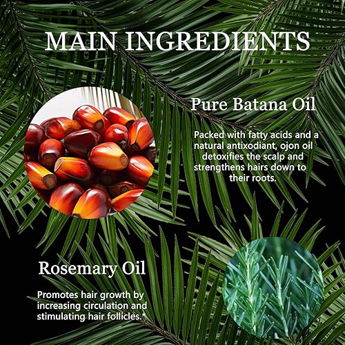 Miniatura 4 de Tgideas Aceite de batana de romero - Crecimiento orgánico del cabello - para el cuero cabelludo y el fortalecimiento del cabello - Aceite de