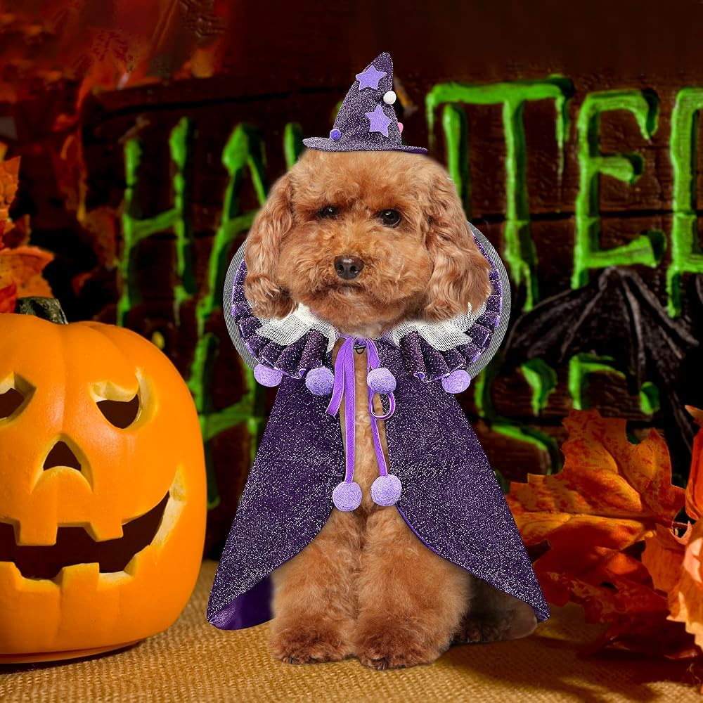 KOUPA Purple Pet Wizard Costume for Festive Fun thumbnail 2