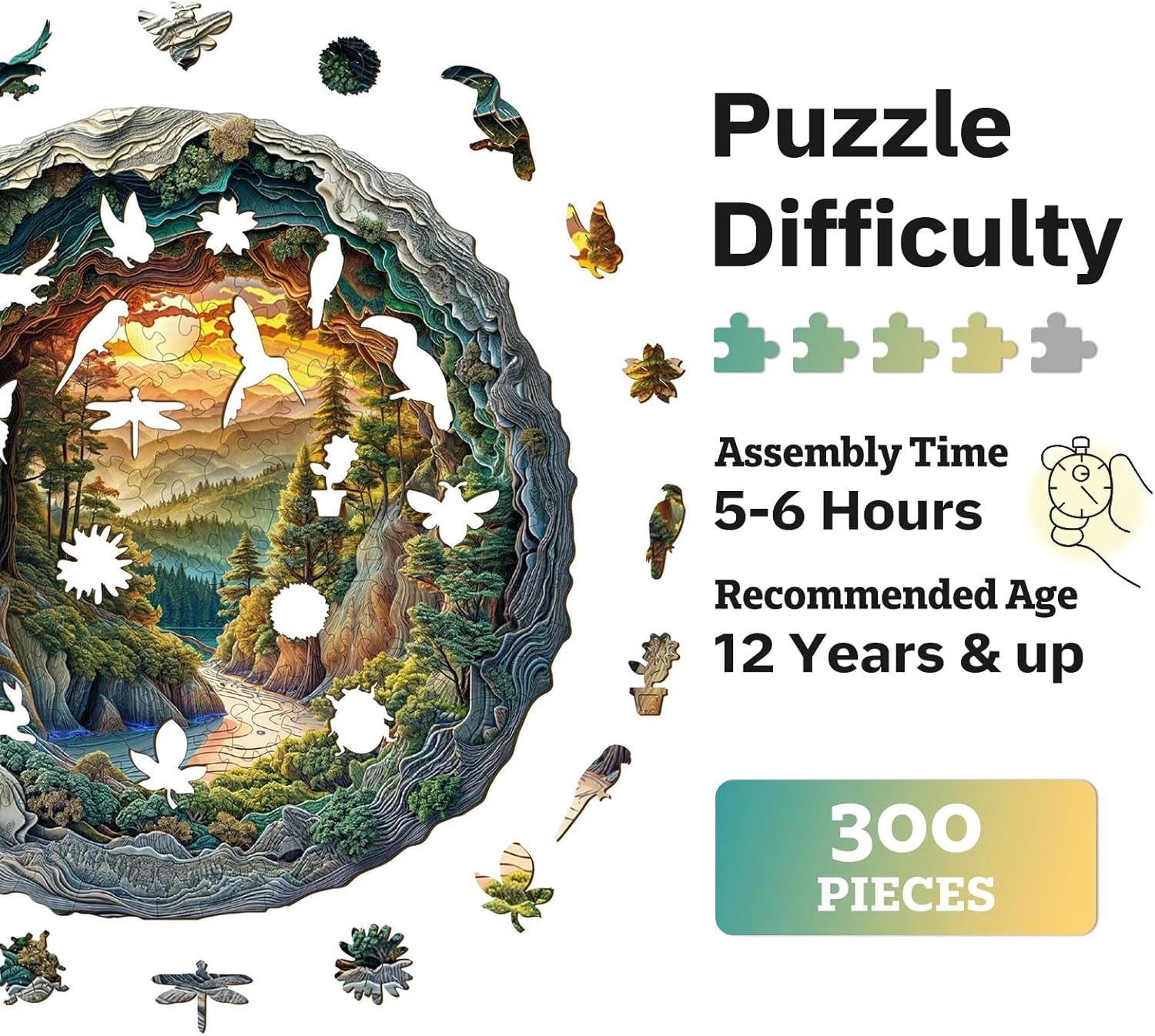 https://m.media-amazon.com/images/I/81kpZsrIa+L._AC_SL1500_.jpg