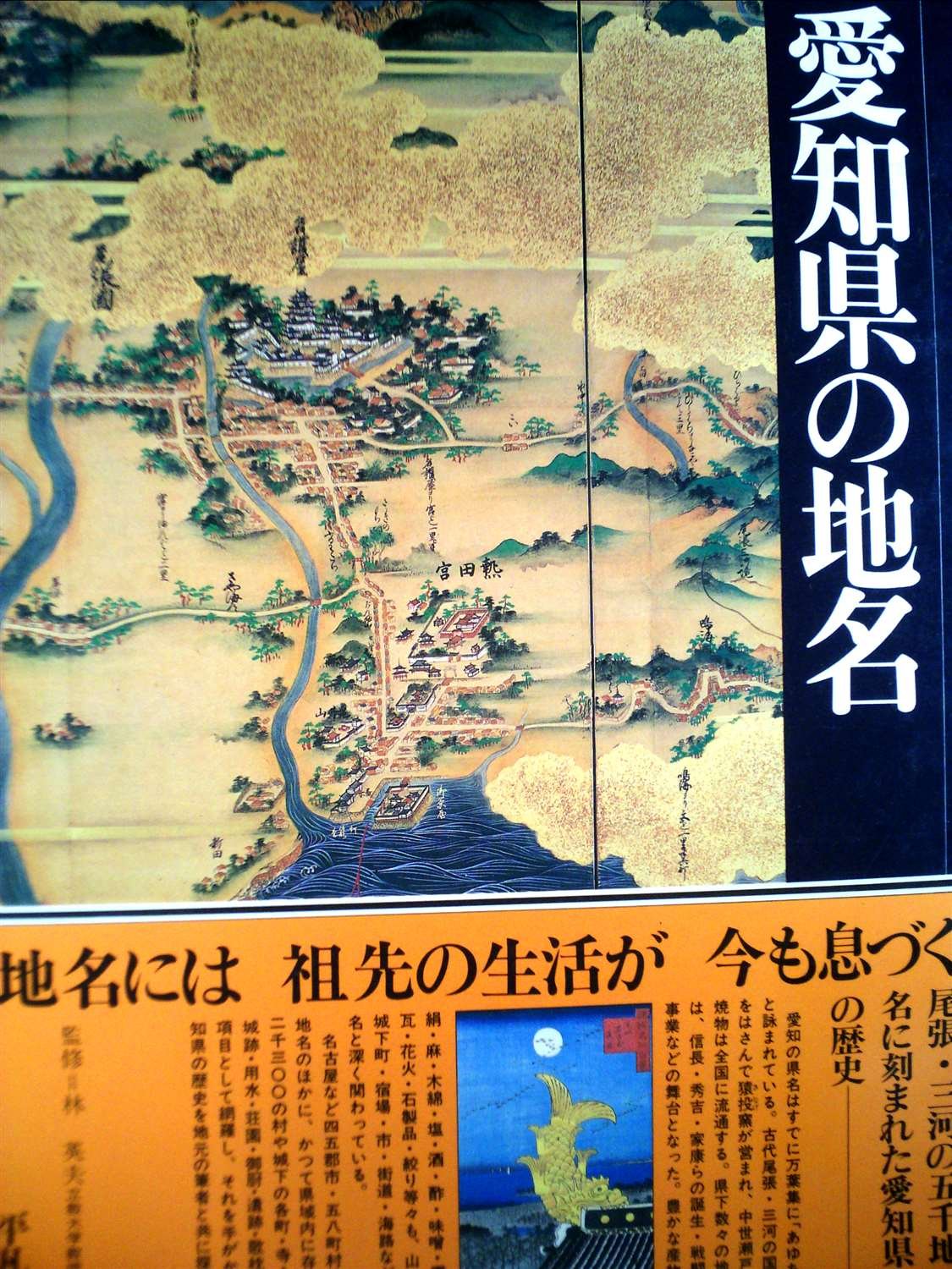 日本歴史地名大系〈第23巻〉愛知県の地名 (1981年) |本 | 通販 | Amazon