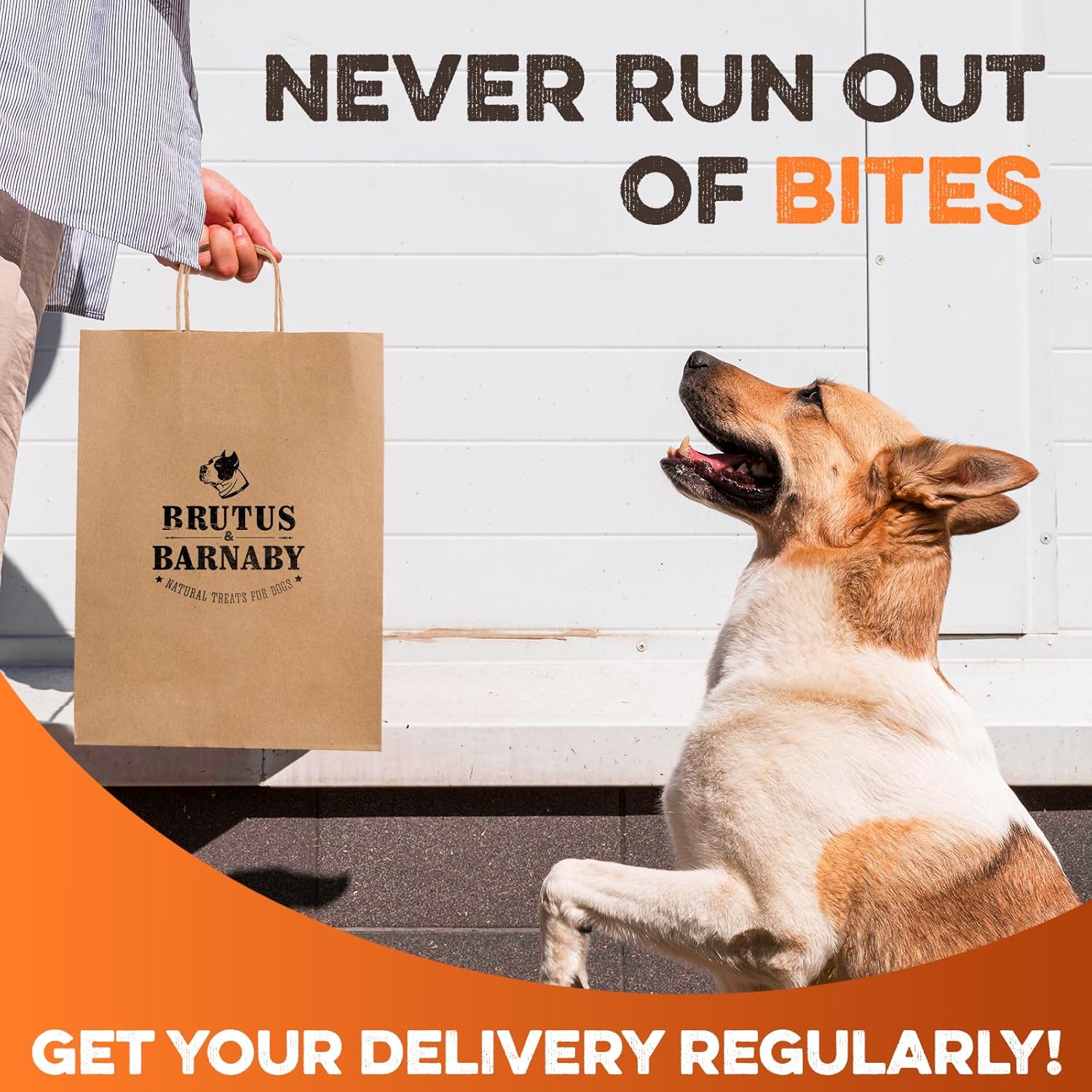 BRUTUS & BARNABY Beef Lung Bites for Dogs - 100% Single Ingredient Dog Treat Made in USA - Protein Packed, Crunchy, Healthy Dog Treats - Grain Free, Rawhide Free, No Additives
