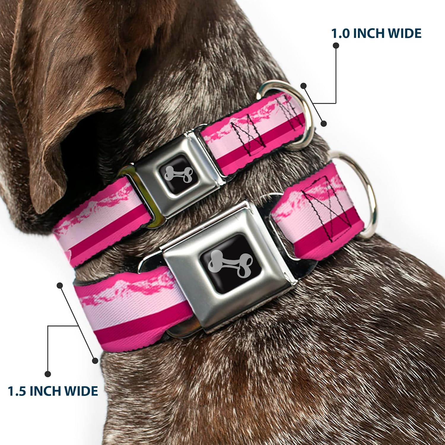 Buckle-Down Dog Collar Seatbelt Buckle Colorado Paw Mountains Pinks Available In Adjustable Sizes For Small Medium Large Dogs, 1" Wide - Fits 11-17" Neck - Medium