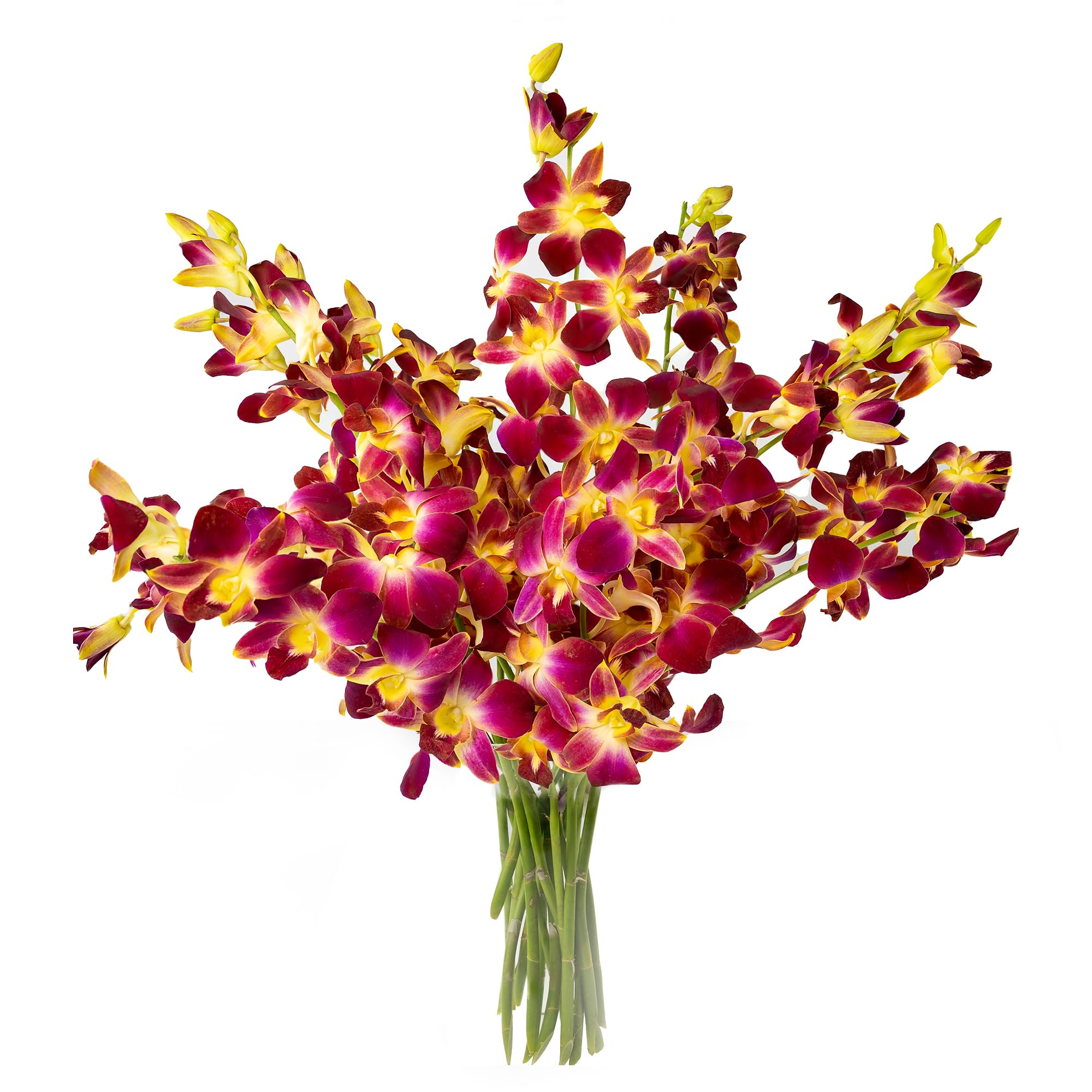 Fresh Cut Orchids Bouquet
