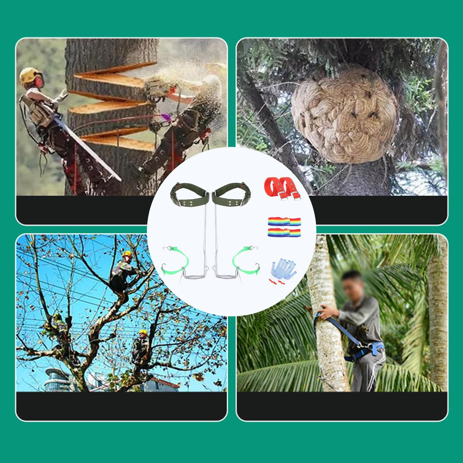 Espuelas para trepar árboles, Kit de Equipo para trepar Postes - Picos Profesionales para trepar árboles | Correas Ajustables, cómodas y Resistentes para jardinería, trepar árboles, Recoger