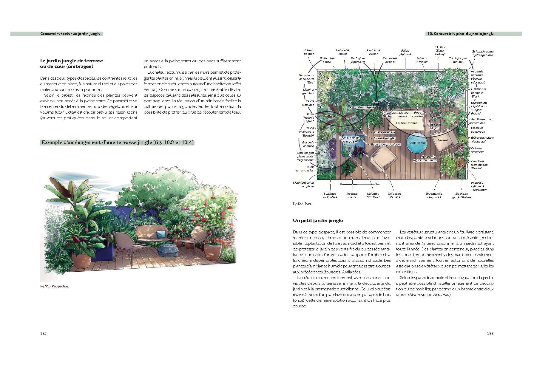 Créer un jardin jungle