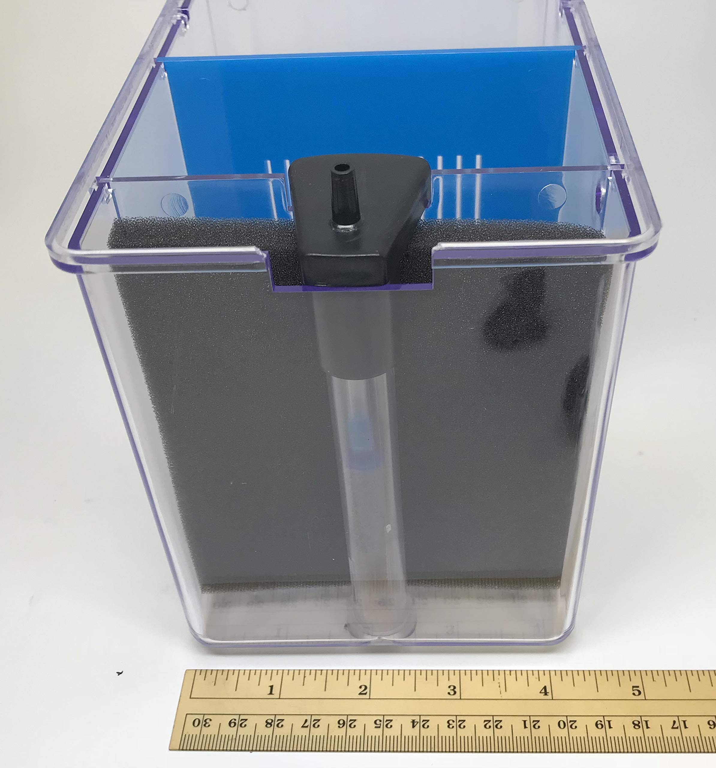 UP AQUA Betta External Betta Box Aquarium - Clear Acrylic Divider Tank ...