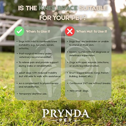 Miniatura 7 de Rodillera ajustable para perro para desgarro del ligamento cruzado anterior y rótula luxante, soporte para pierna trasera, displasia de cadera