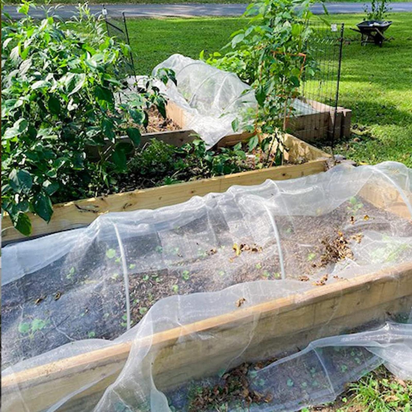 Kit di 50 cerchi da giardino per supporto per piante, archi per serra, tunnel ideale per pomodori, fragole e crescita veterinaria, facile da montare
