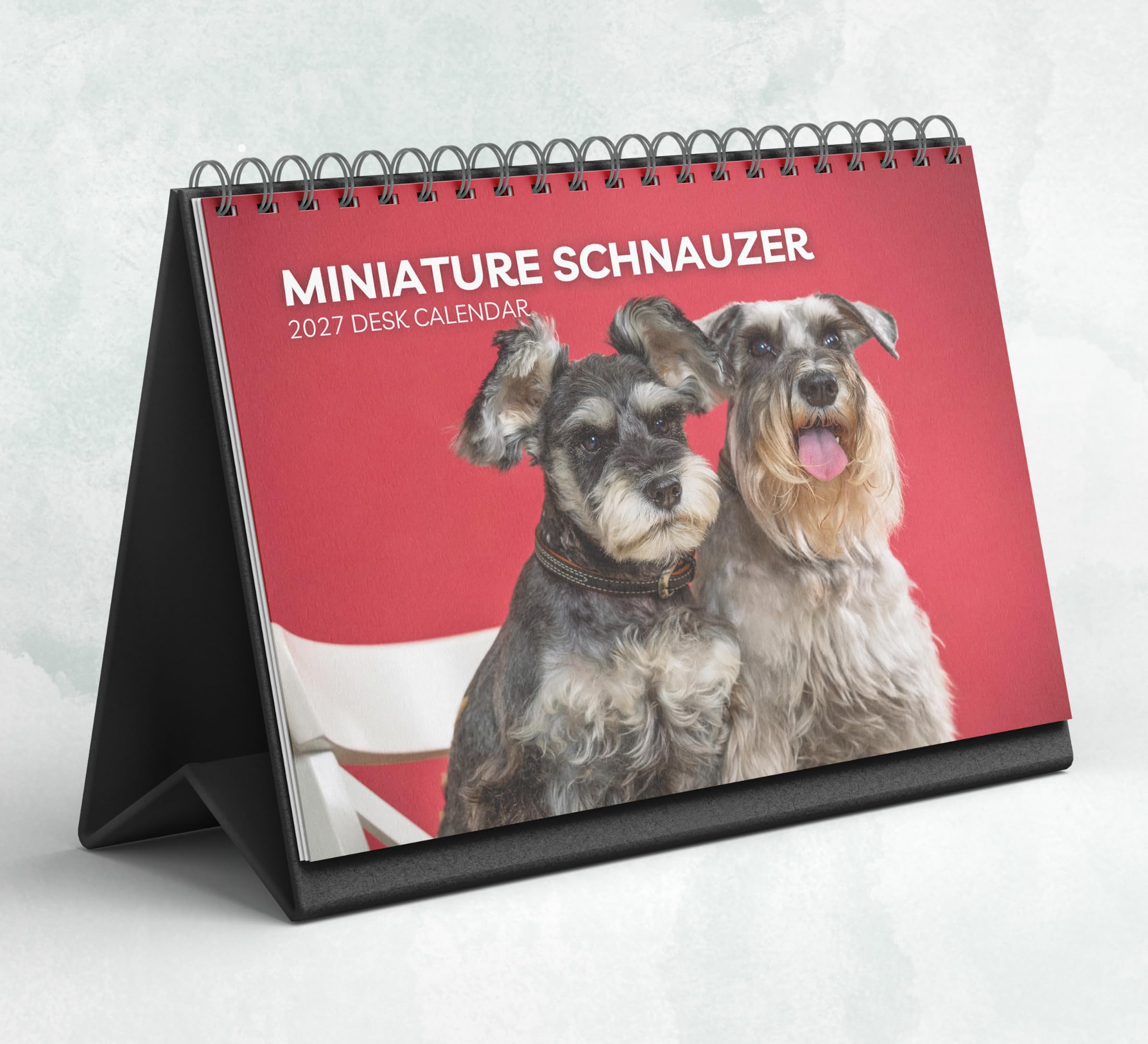 Miniature Schnauzer Desk Calendar 2027-2028: Standing Flip Desktop Calendar with Thick Paper (15.25cm x 22cm - similar to A5)