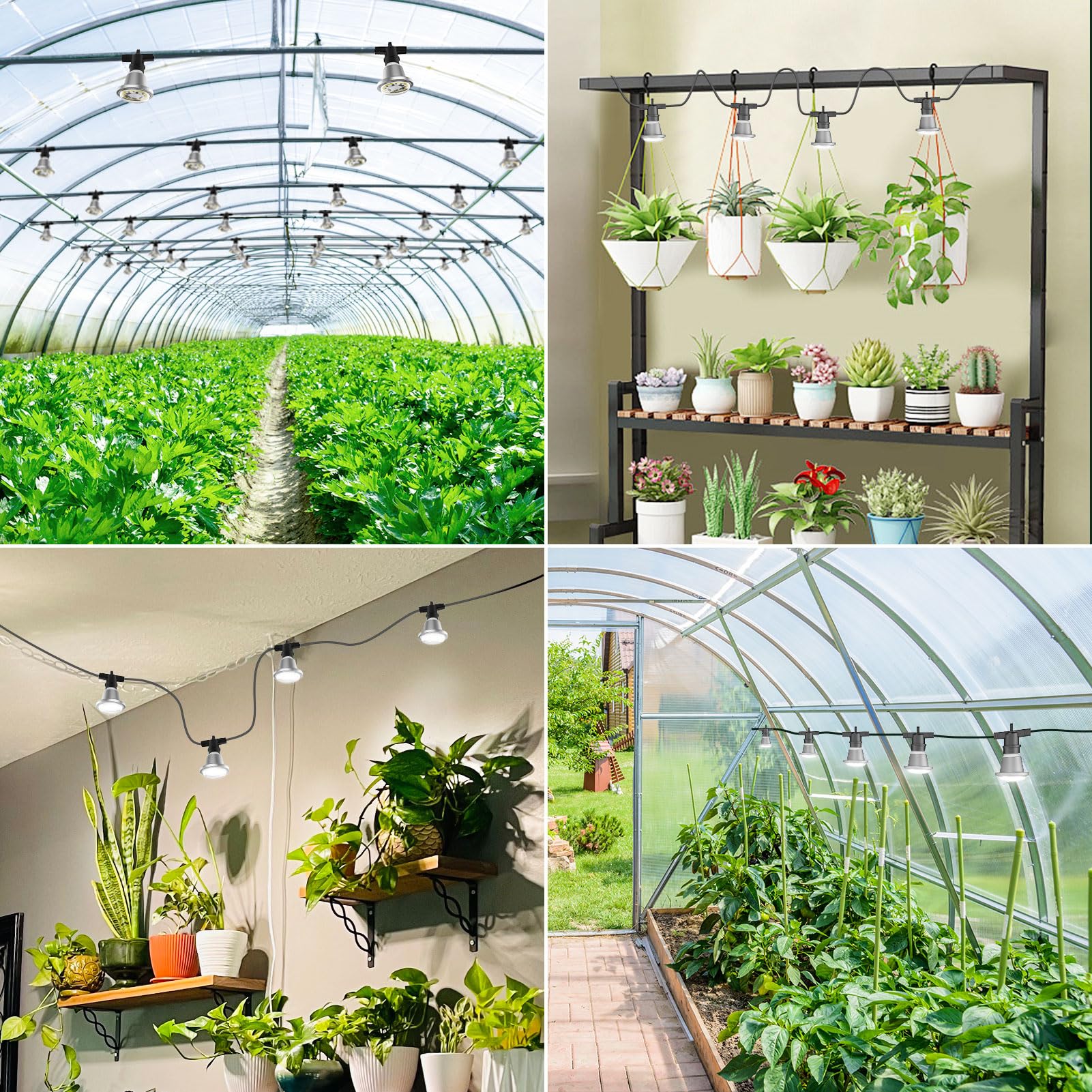 SANSI Lámpara de Planta con 6 Bombillas de Crecimiento LED E27 12W, Luz de Cultivo Espectro Completo IP54 Impermeable para Germinación y Floración Plantas Interiors Exteriores - 6,7 Metros | Con 6 bombillas E27 de 12 W para plantas de interior, invernader