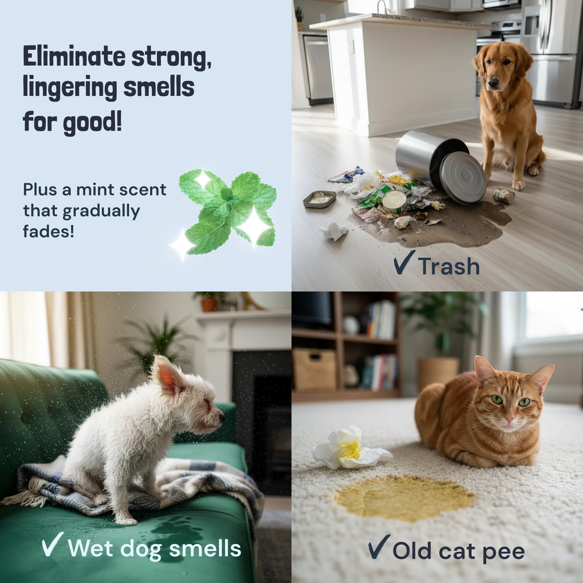 Pet Stain & Odor Miracle – Enzyme Cleaner per cani e gatti urina, feci, vomito, Drool...
