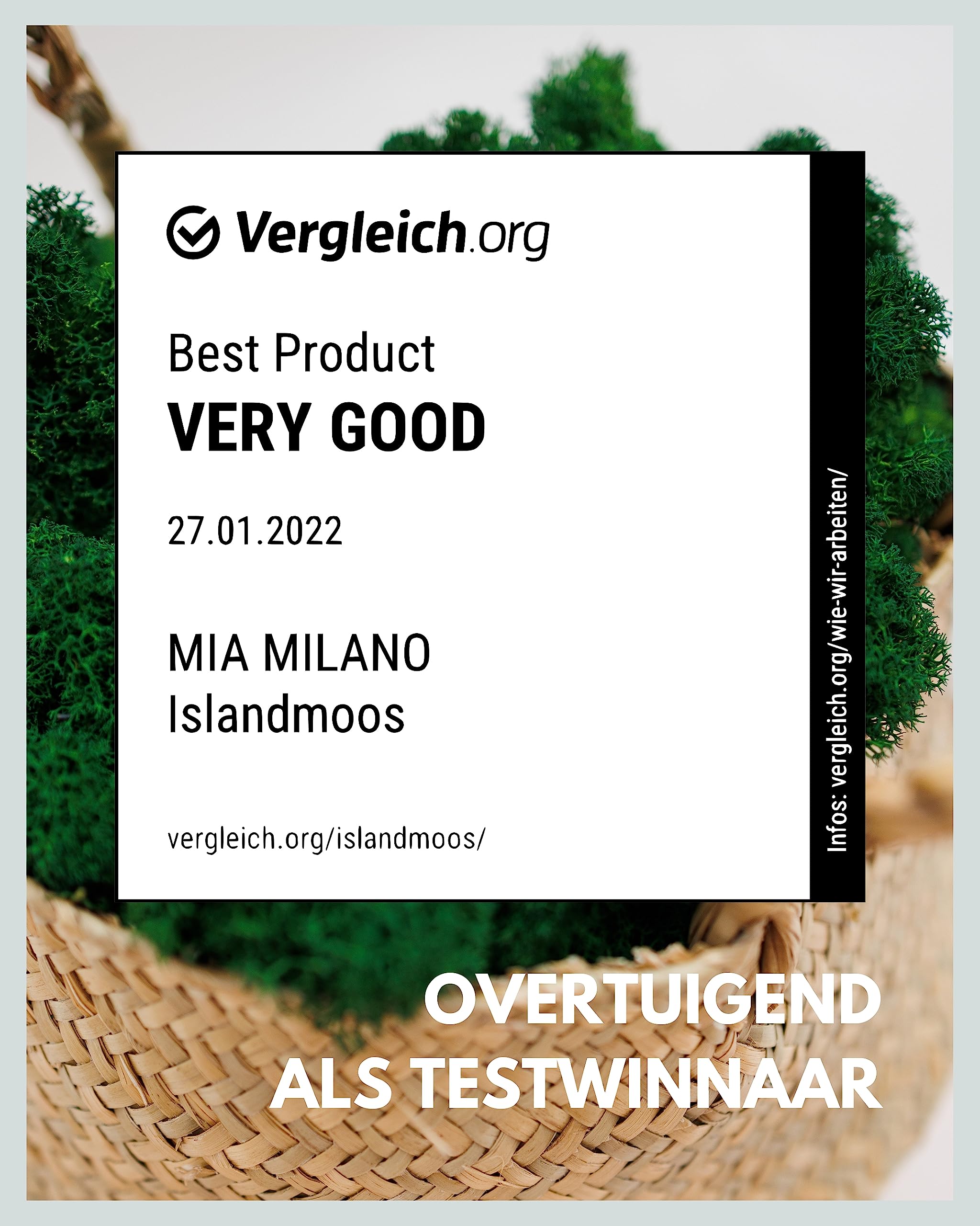 Mia Milano Ijslands mos I Geconserveerd decoratief materiaal voor knutselen I Duurzaam natuurlijk voor mosfoto's I Herbruikbaar bolmos (250 g, limegroen