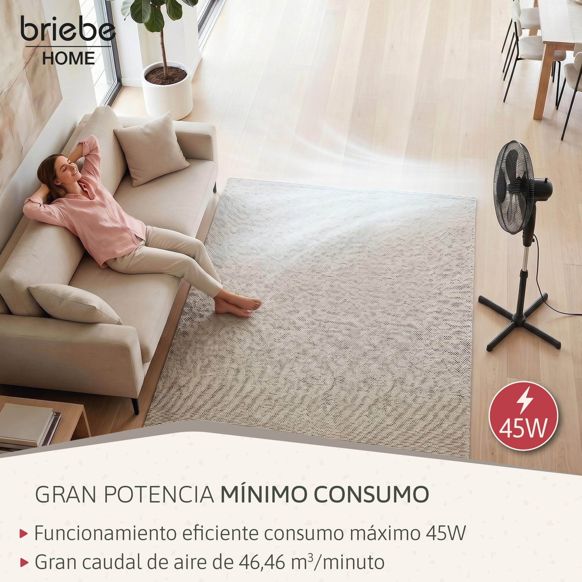 briebe Ventilador de Pie Silencioso con Mando a Distancia, 40cm, Temporizador, Oscilante, 3 Modos Funcionamiento, 3 Velocidades, Regulable Altura 100-125cm, Negro