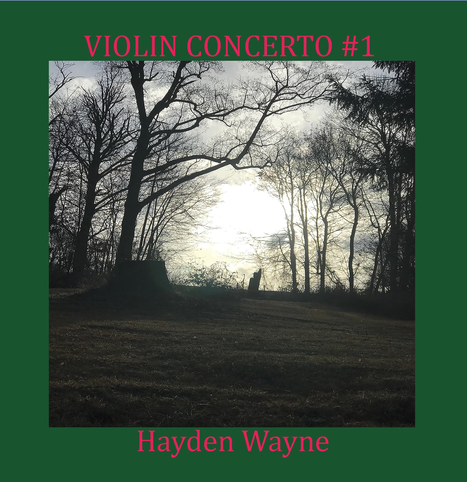 Hayden Wayne Violin Concerto #1 CD New 760137181415