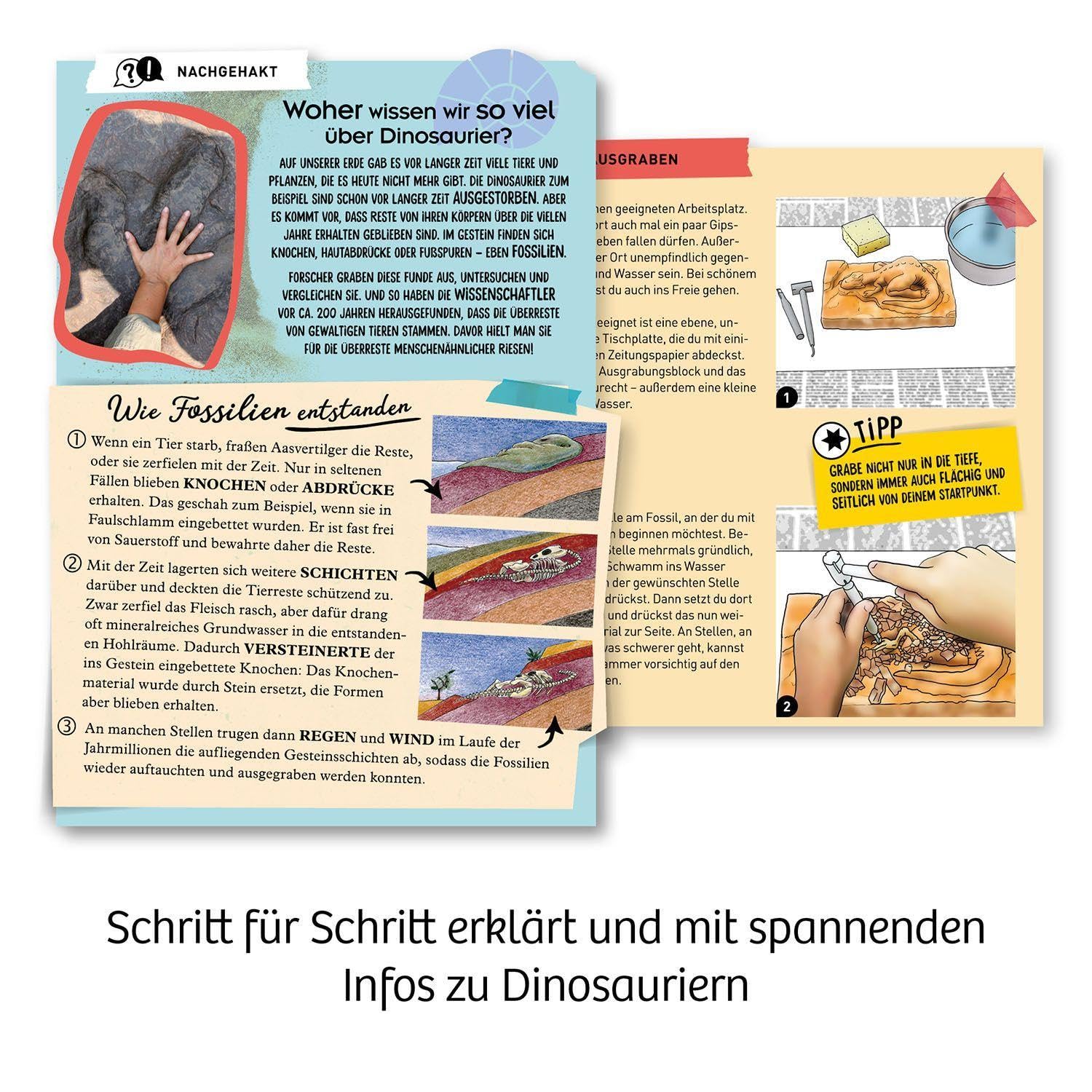 Kosmos Kit Scavo Dinosauro – Scava E Assembla Scheletro Di Pterosauro, Ossa Luminescenti, Con Martello E Scalpello, Per Bambini 7-9 Anni - 2