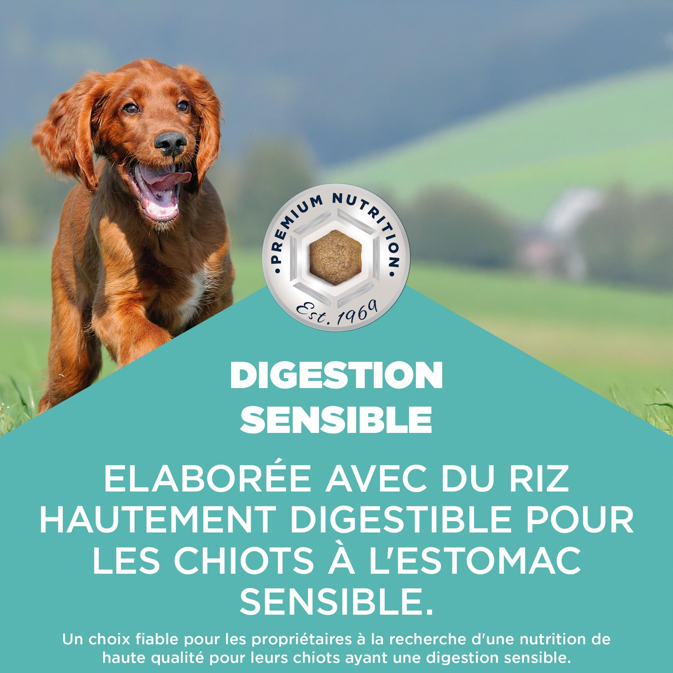 EUKANUBA Sensitive Digestion Aliment pour Chiots au Poulet et au Riz très digestible - Aliment Sec Special Care adapté à l’estomac des Chiens Juniors sujets aux Troubles digestifs, 12 kg