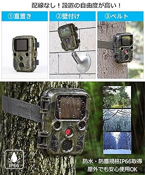 Amazon.co.jp: Enlleo 防犯カメラ トレイルカメラ 小型 1080P