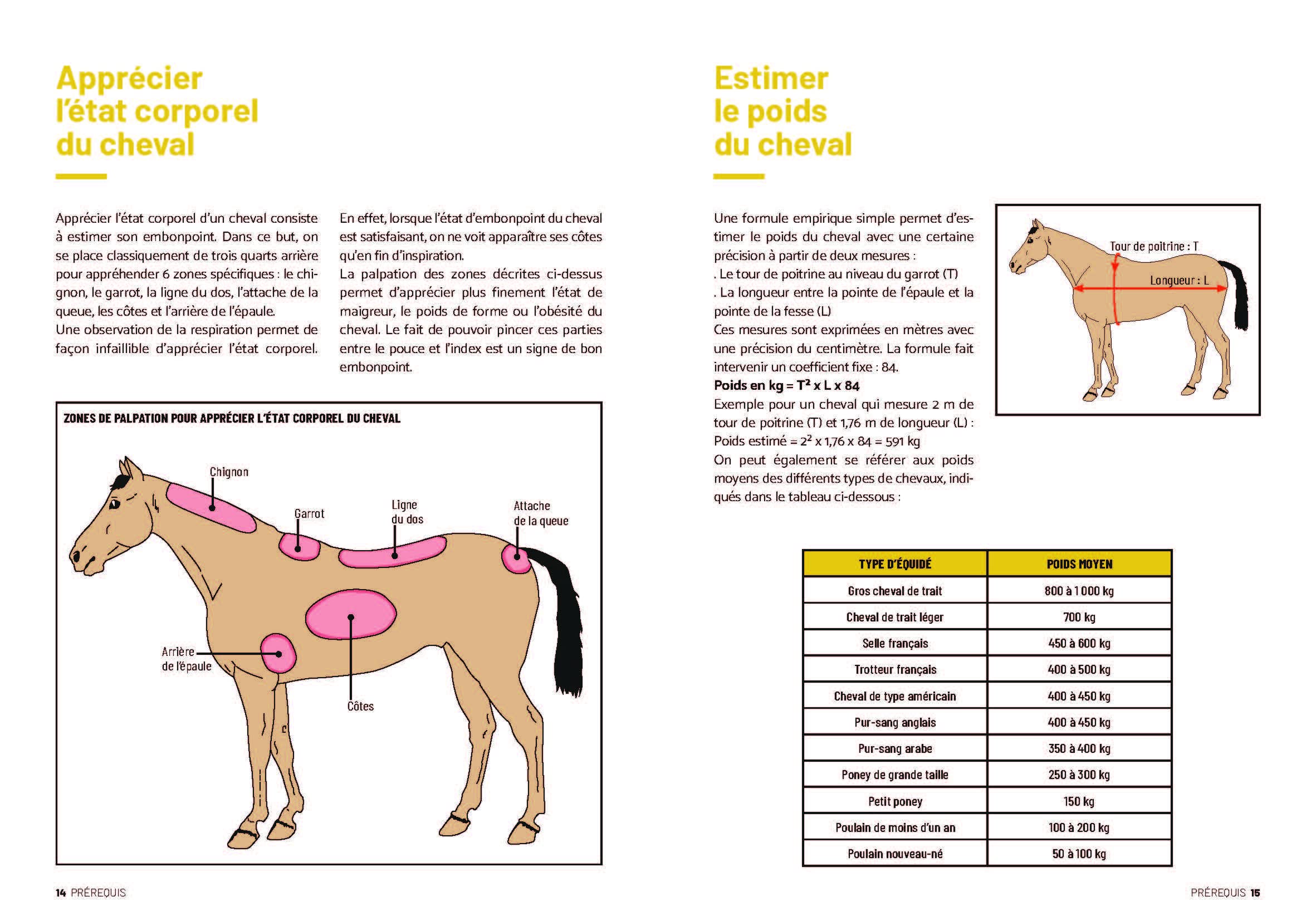 Diagnostiquer les principales pathologies de votre cheval: Une méthode simple et efficace