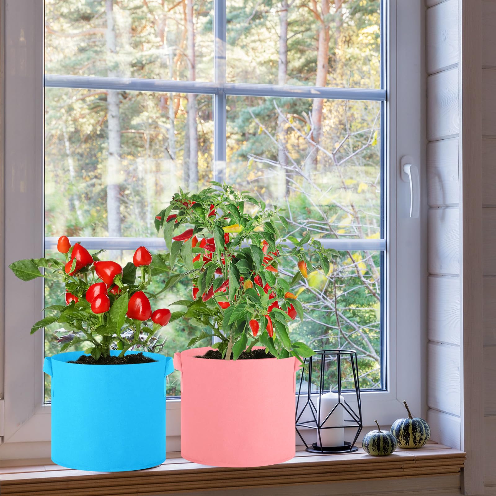Ziliny Paquete de 20 bolsas de cultivo multicolor para plantas, macetas de tela no tejida con asas, semillas de plantas de jardín, tomate, verduras, flores, bolsas de plantación para jardinería