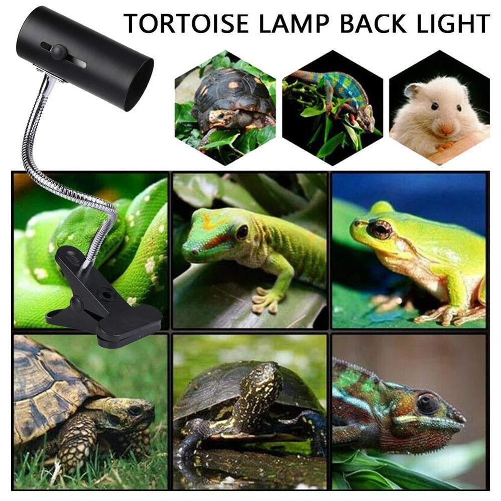 Riscaldatore per animali domestici UVA + UVB Kit 3.0 Reptile Lampada con Clip-on in ceramica titolare della tartaruga della luce UV Basking riscaldamento della lampada Set tartarughe Lizard Lighting